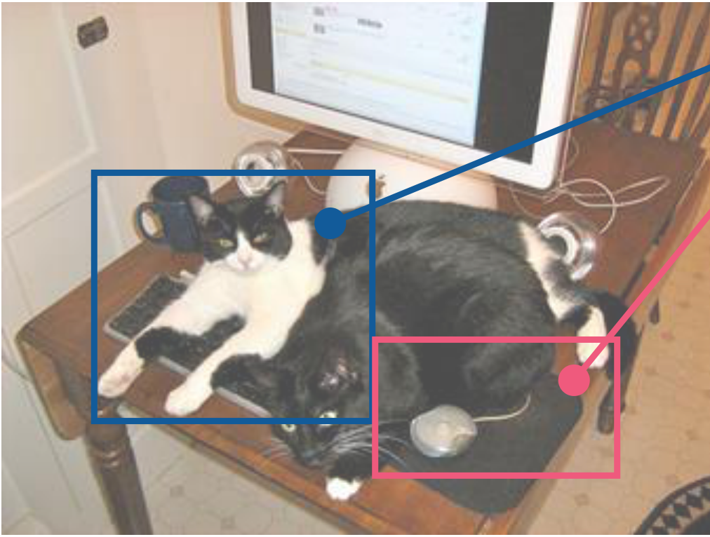 Two cats lying on a desk, one of them on a keyboard.